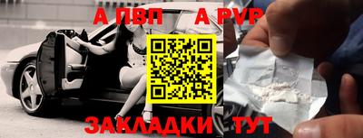 шишки Дубна