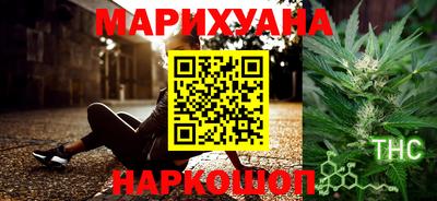 шишки Дубна