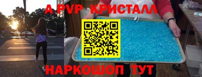 шишки Дубна