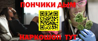 шишки Дубна