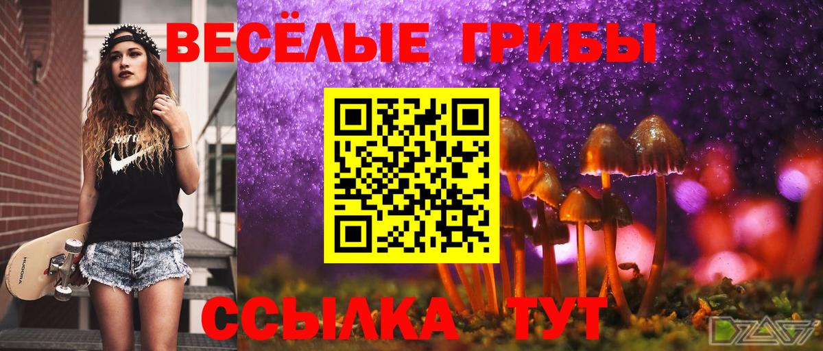 Псилоцибиновые грибы MAGIC MUSHROOMS Кизилюрт