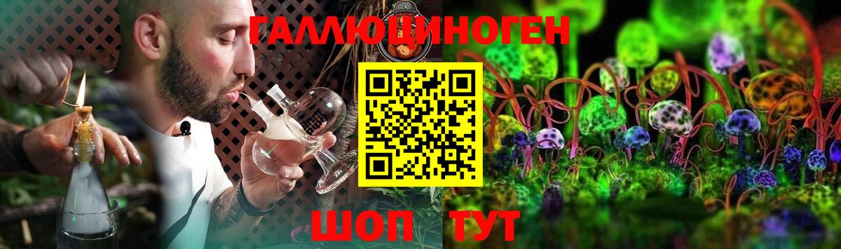 Кизилюрт  Псилоцибиновые грибы Psilocybine cubensis  Вход с VPN 
